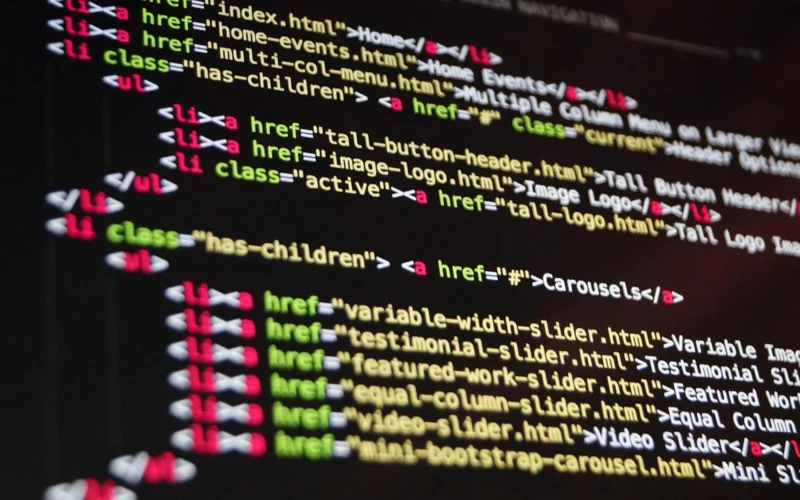 software developer